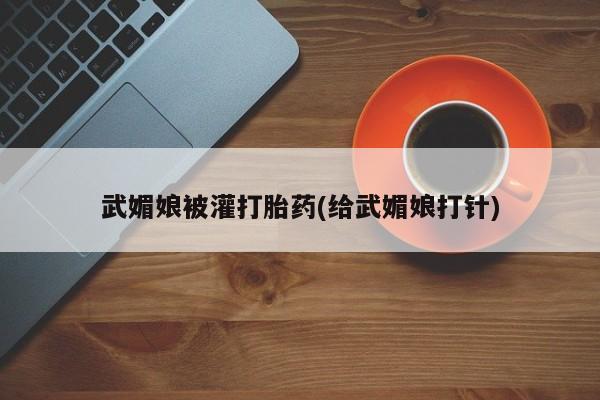 流产药购买武媚娘被灌打胎药(给武媚娘打针)