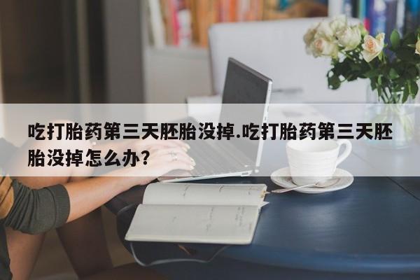 流产药购买吃打胎药第三天胚胎没掉.吃打胎药第三天胚胎没掉怎么办？