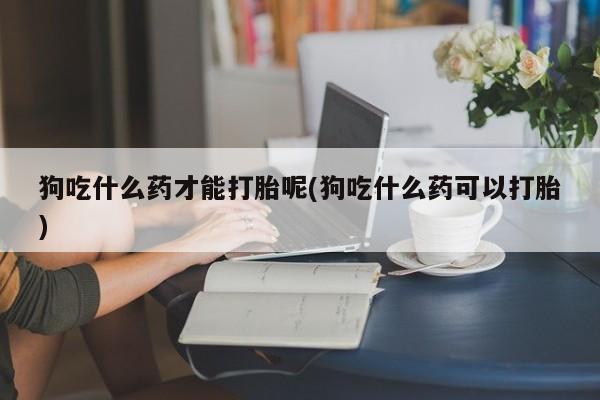流产药购买狗吃什么药才能打胎呢(狗吃什么药可以打胎)