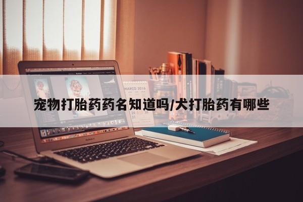 流产药购买宠物打胎药药名知道吗/犬打胎药有哪些