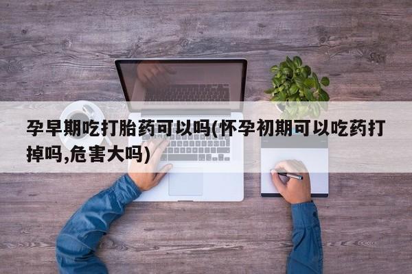 流产药购买孕早期吃打胎药可以吗(怀孕初期可以吃药打掉吗,危害大吗)