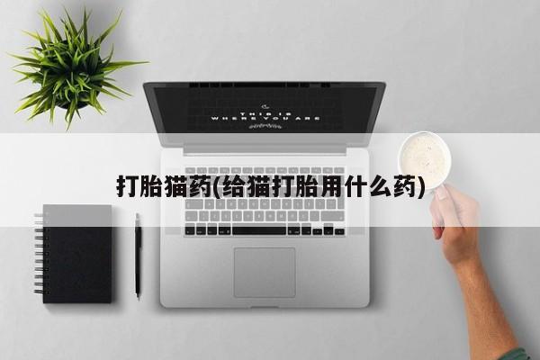 流产药购买打胎猫药(给猫打胎用什么药)